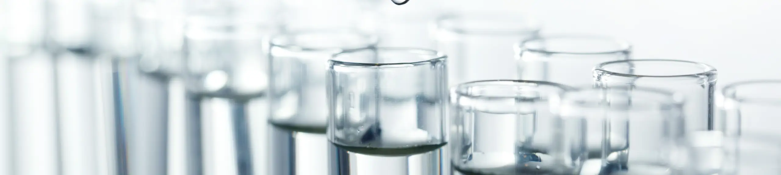 QC Release Testing QC Release Testing